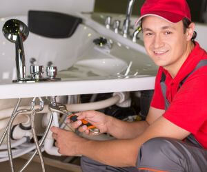 About Septic Pumping Service Cherry Creek, NY